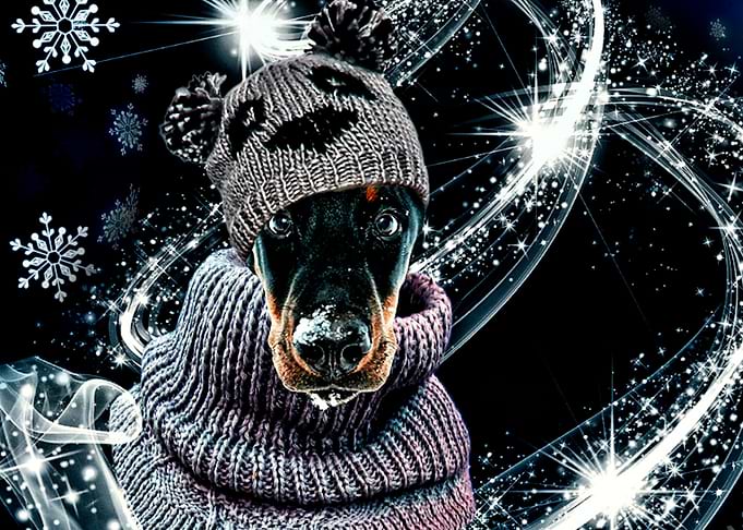 Snow