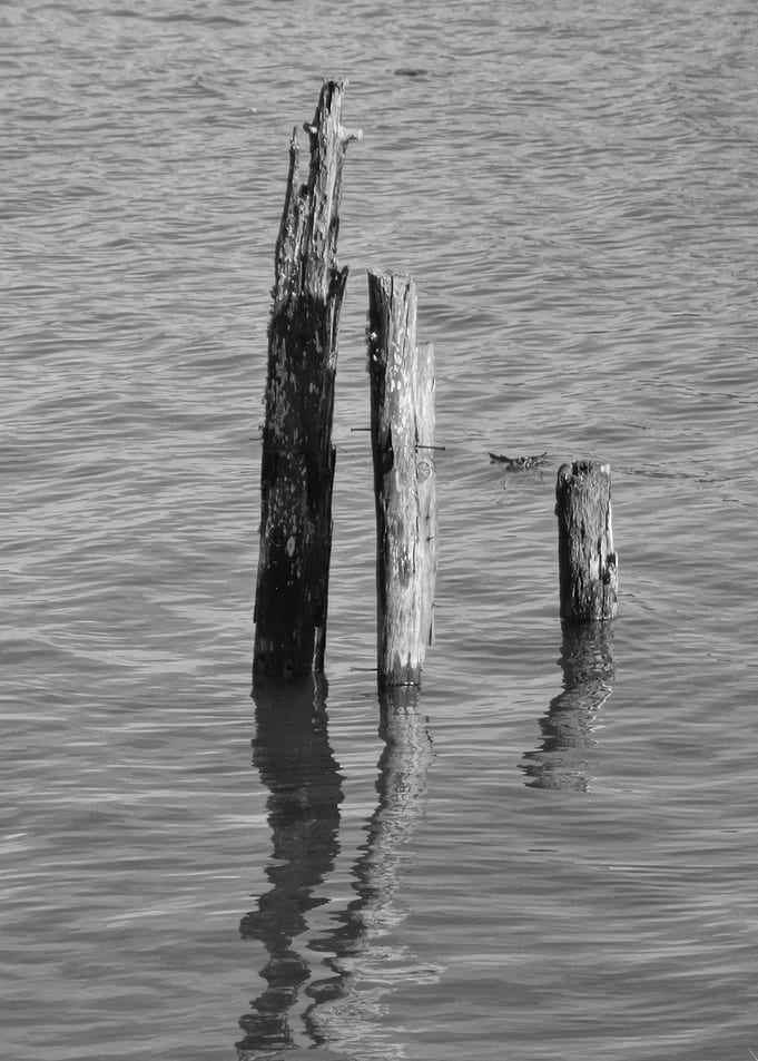 Old wood