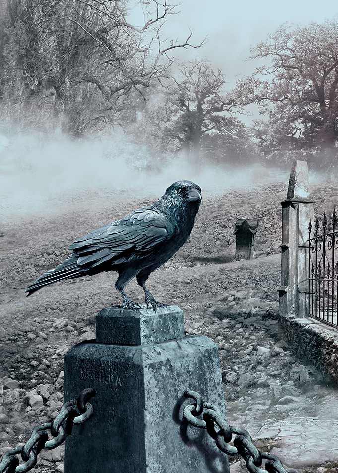 Raven