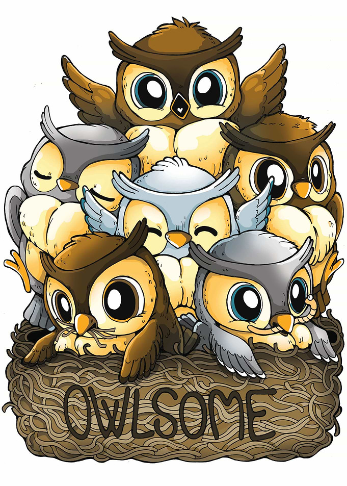 Owlsome