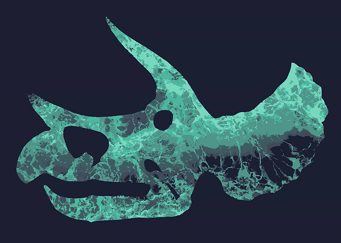 Triceratops Skull