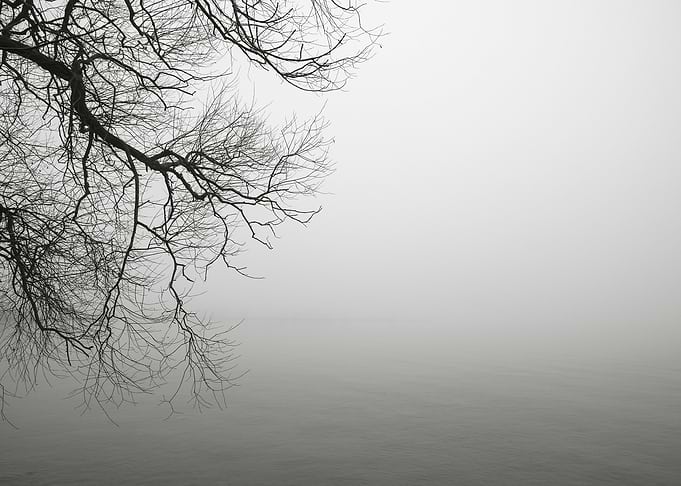 November mist