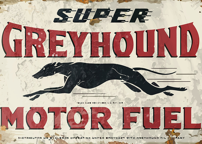 Greyhound vintage