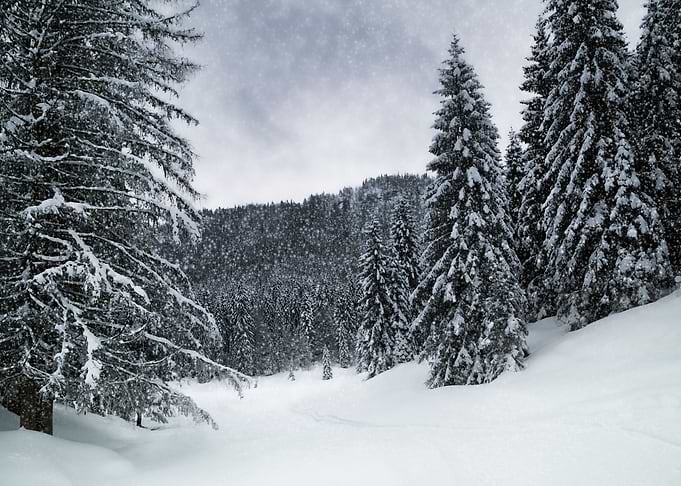 Bavarian Winters Tale VI