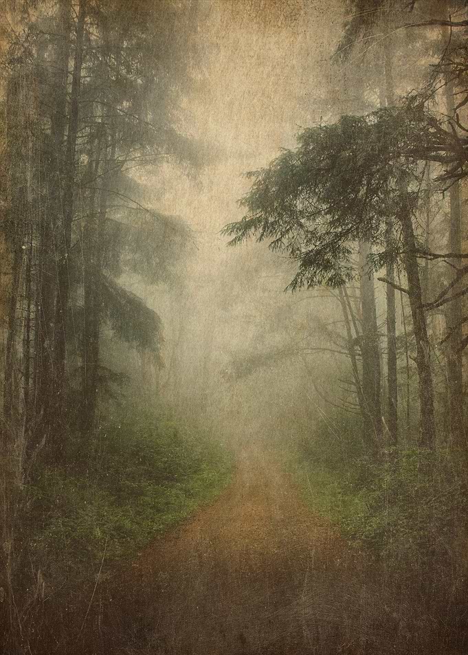 Foggy Landscape