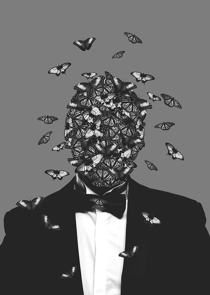 Butterfly face