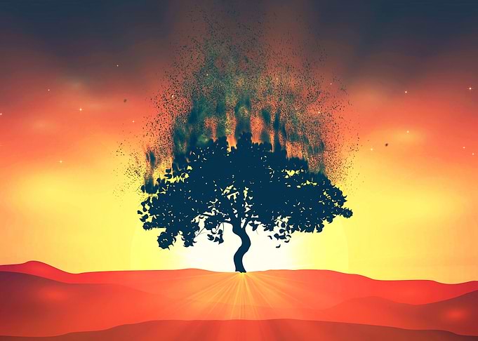 Exploding tree