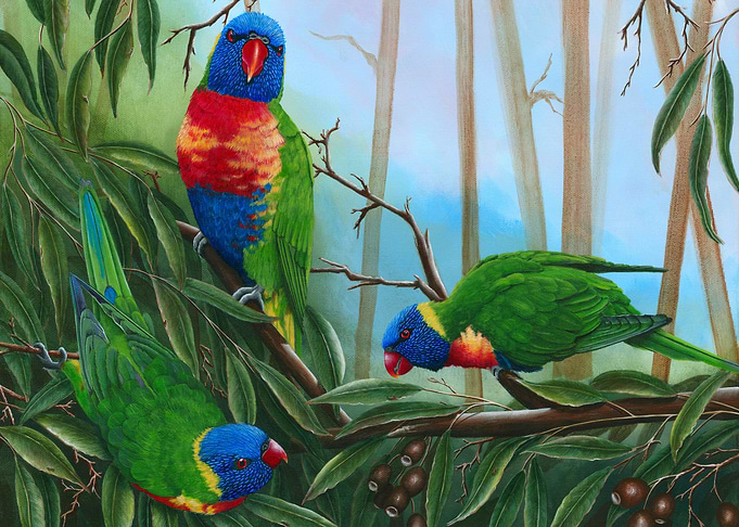 Lorikeets trio painting