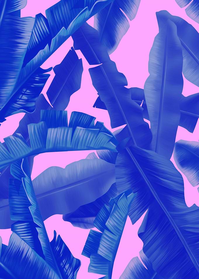 Tropical leaf patter 4