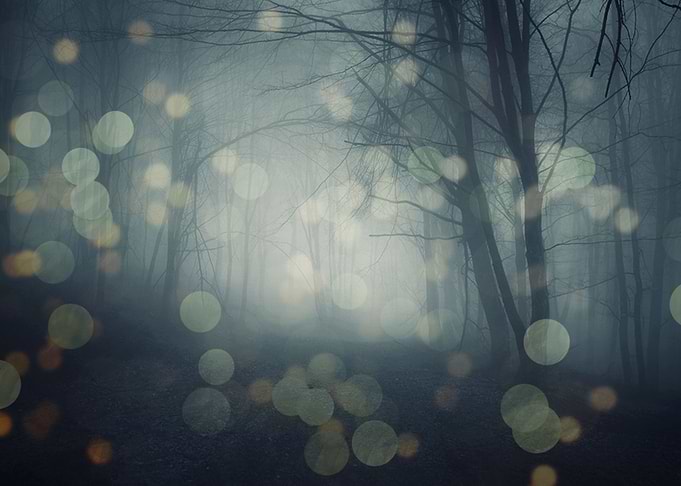 Fog