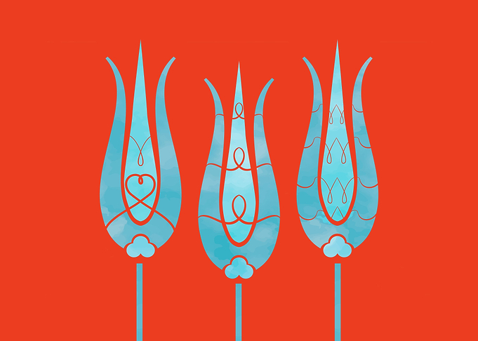 Ethnic Turkish Tulips