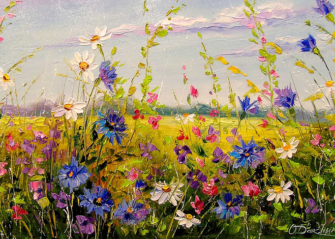 he field of flowers