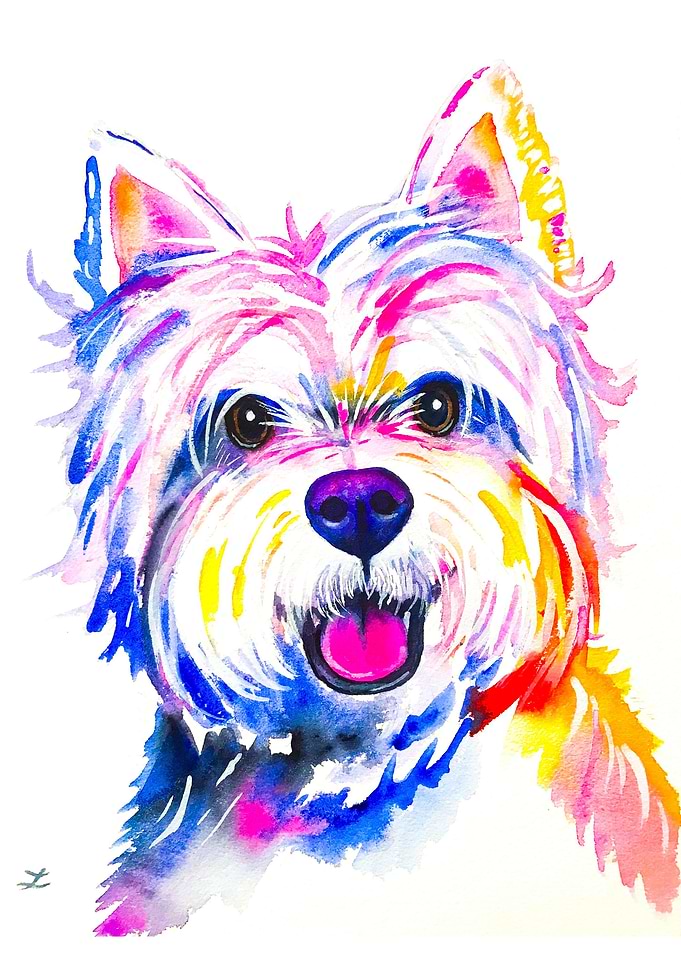 Westie