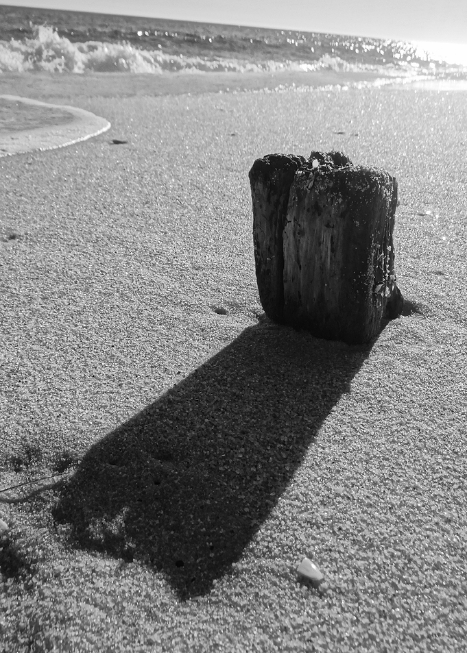 Shadow
