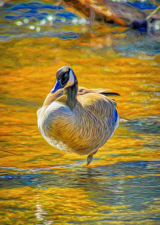 Golden Goose
