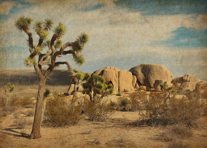 American West Landscape