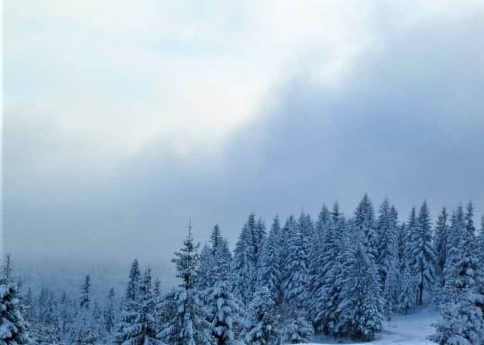winter in Poland