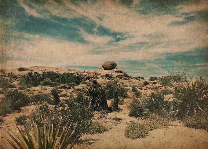 American West Landscape