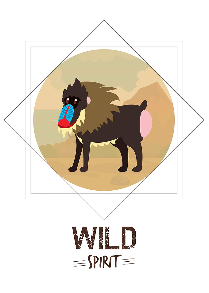 Monkey Wild Spirit