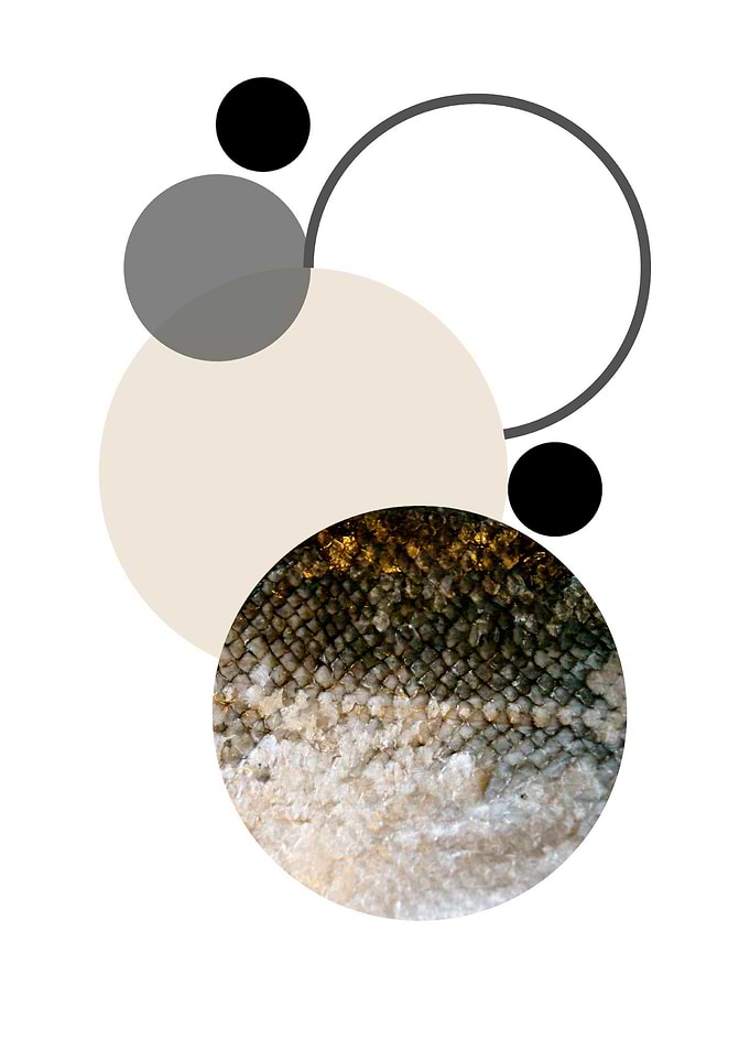 Sphere snake skin