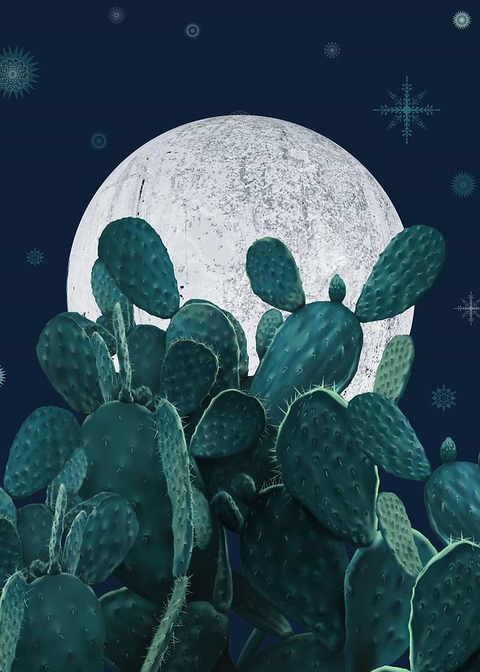 Night desert garden 2