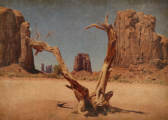 American West Landscape