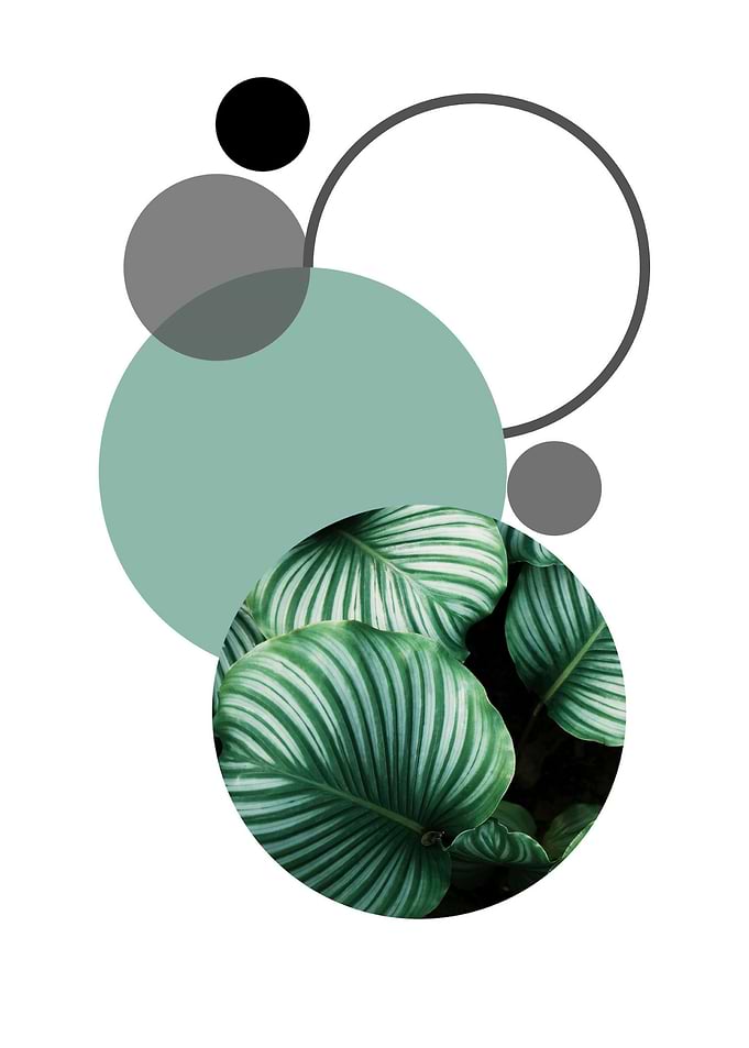 Sphere green leafs