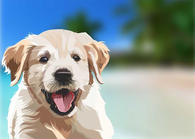 Dog Illustration
