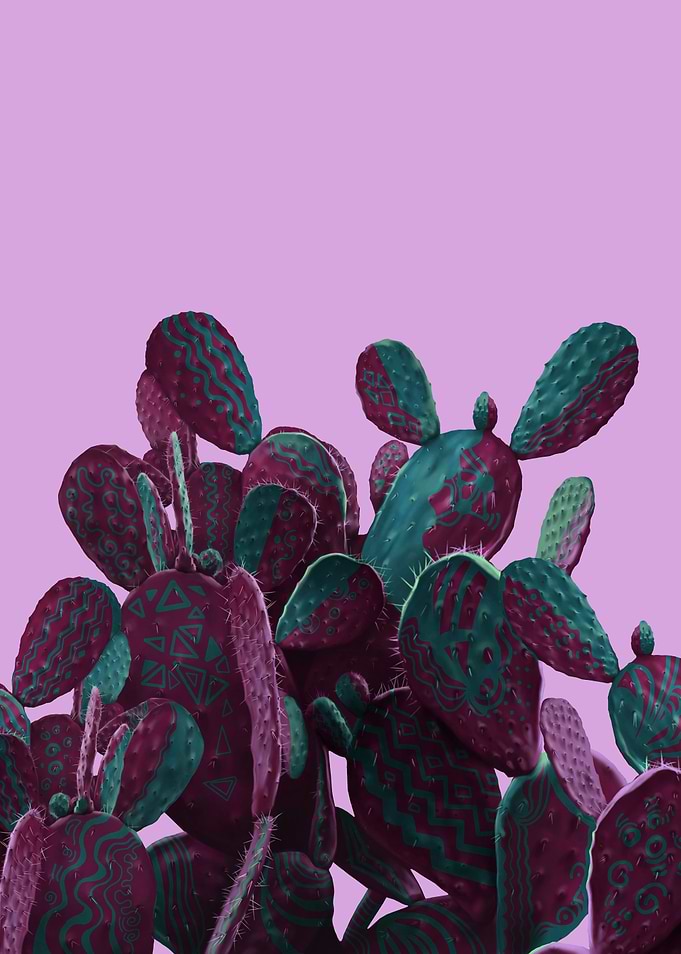 Desert garden pink