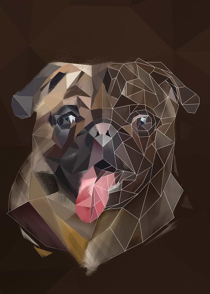 Pug sketch