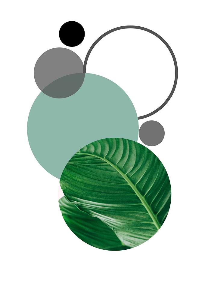Sphere green leaf