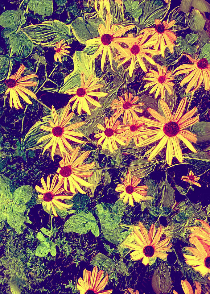 redbekie yellow flowers