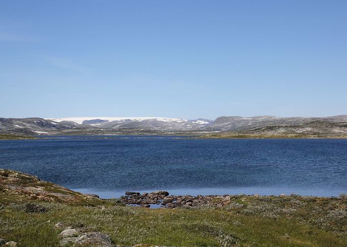 Gletsjer