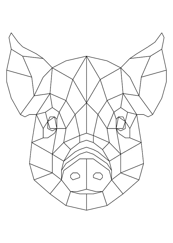Pig Black