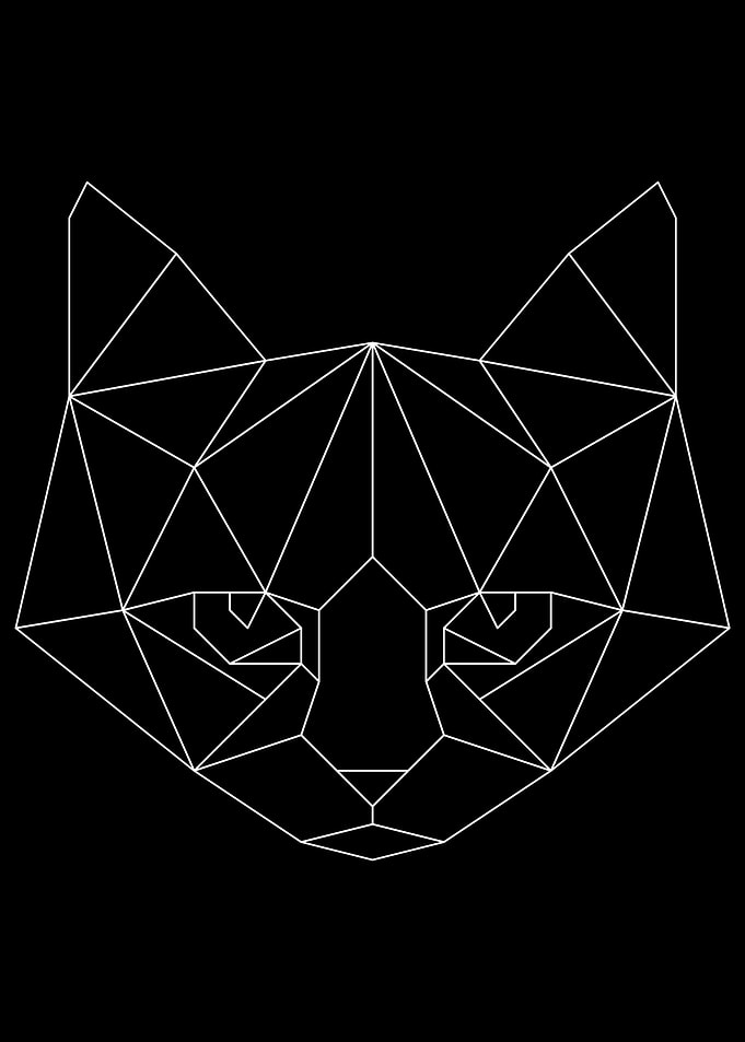 Cat 2 White