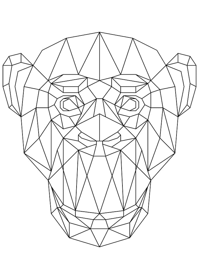 Monkey Black
