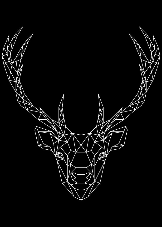 Deer 2 White