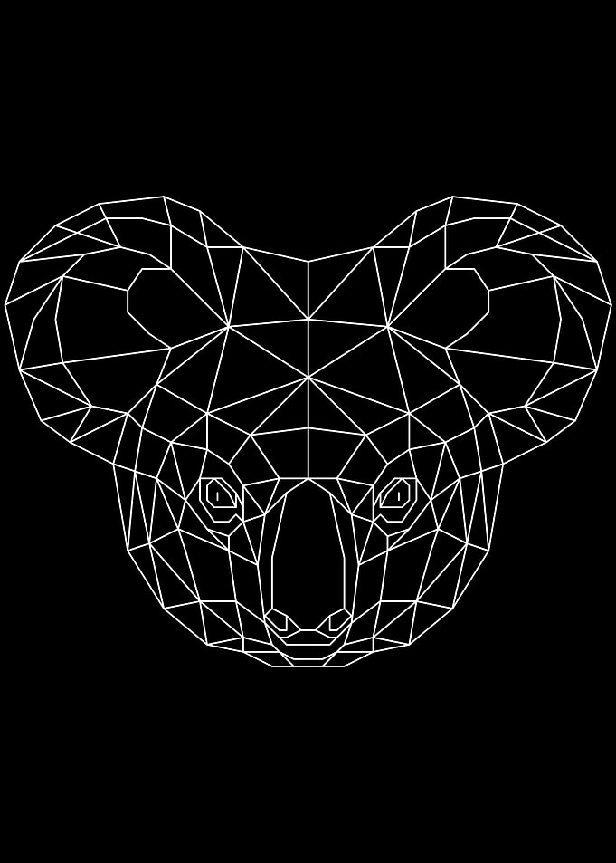 Koala White