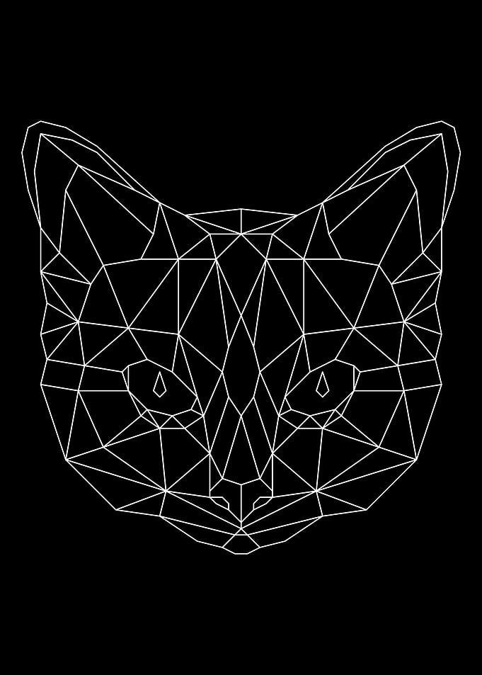 Cat White