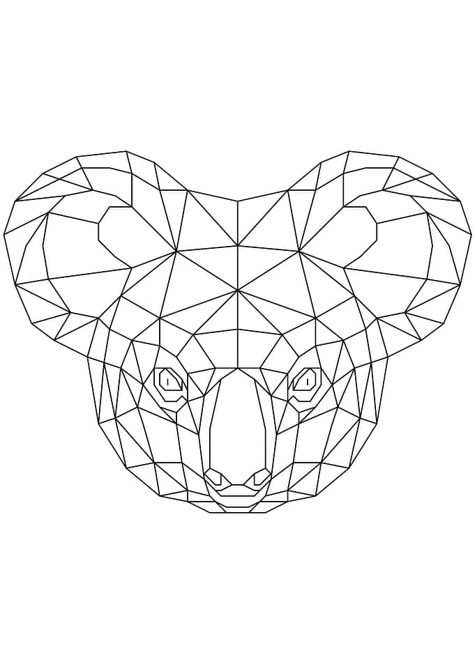 Koala Black