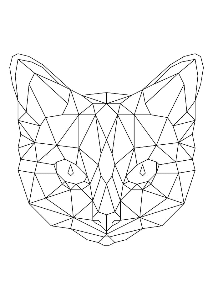 Cat Black