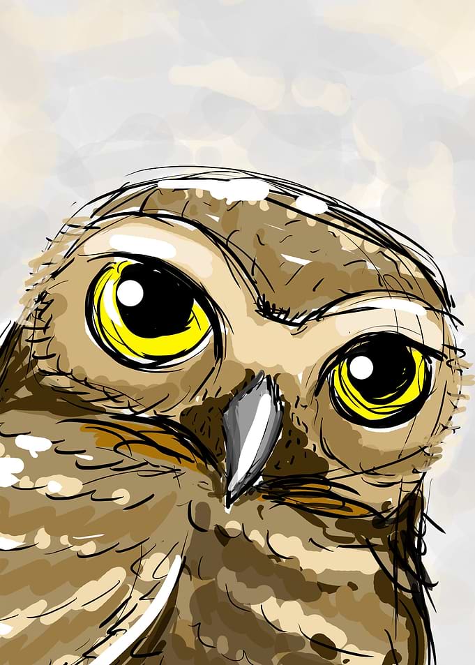 owlish