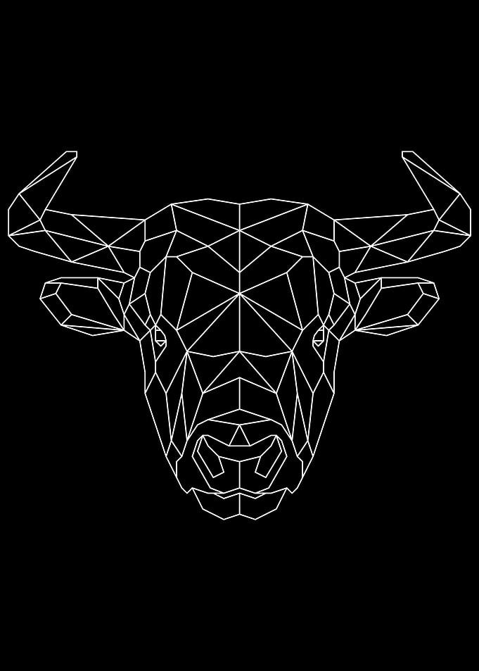 Bull White