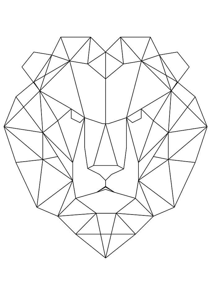 Lion 2 Black