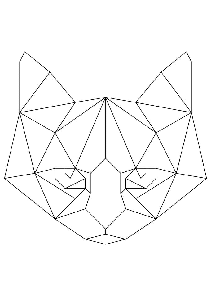 Cat 2 Black