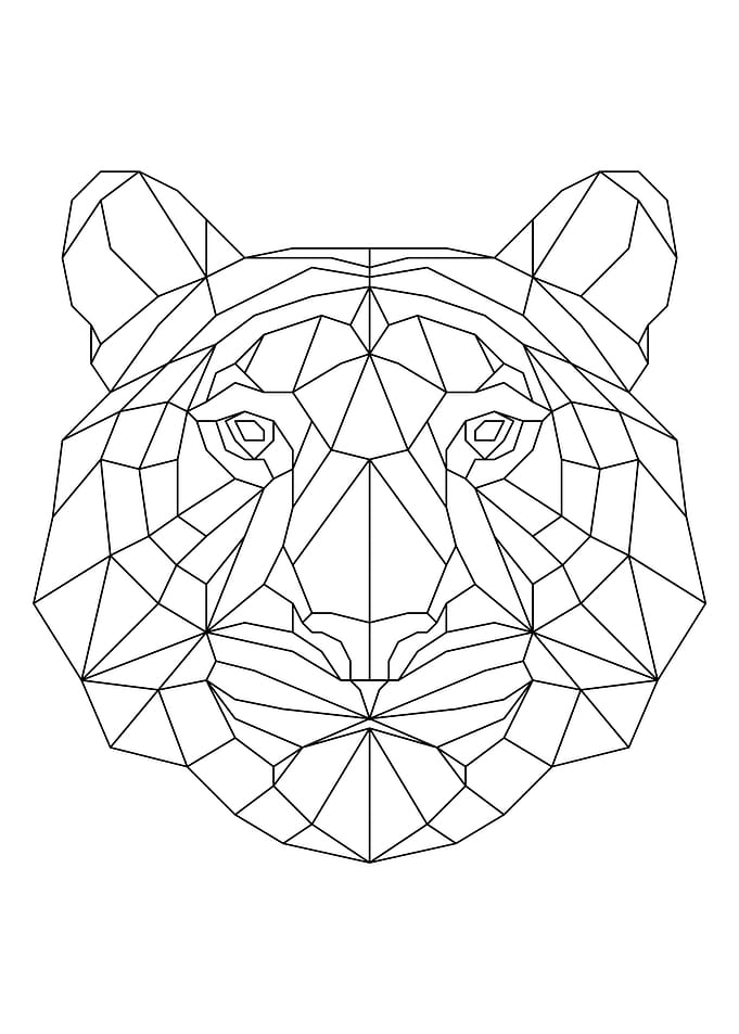 Tiger Black
