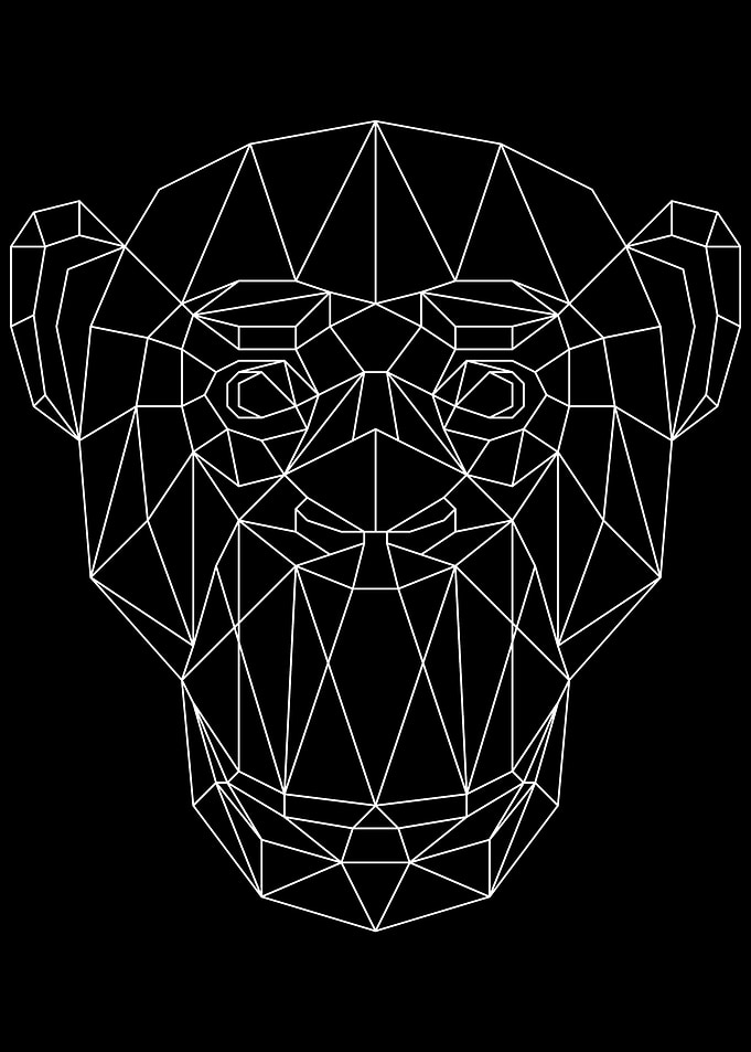 Monkey White