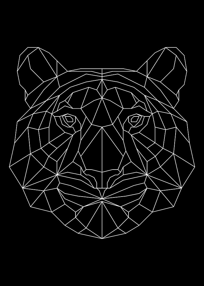 Tiger White