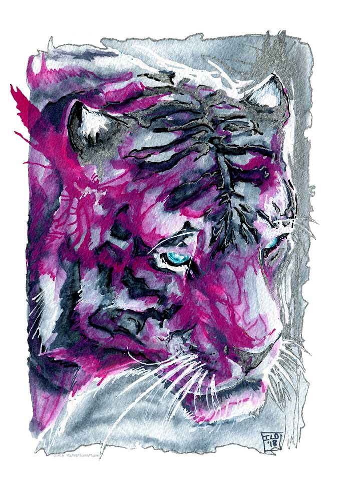 Tiger Tiger