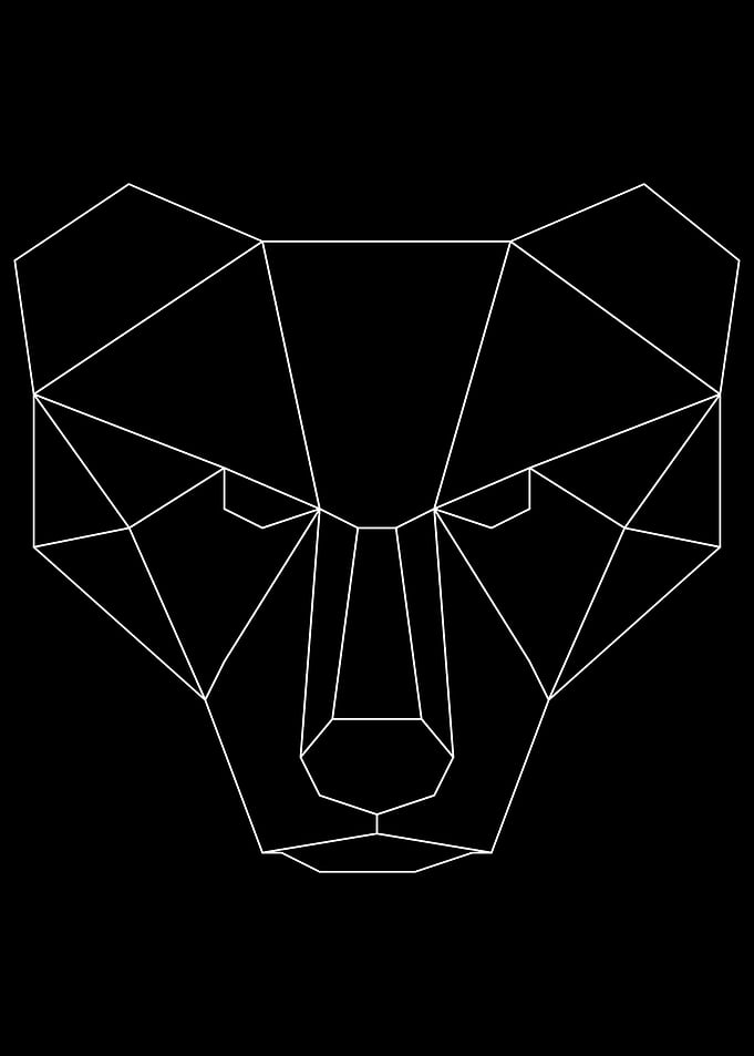Bear White